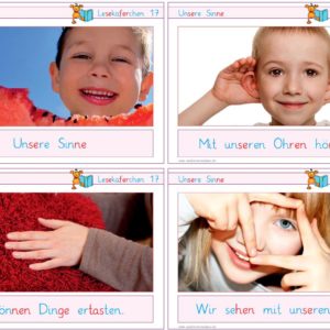 Lesekäferchen: Unsere Sinne