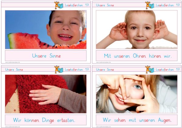 Lesekäferchen: Unsere Sinne