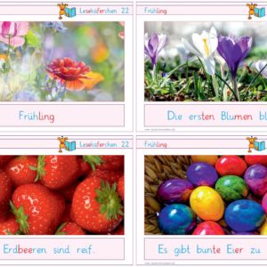 Lesekäferchen: Frühling