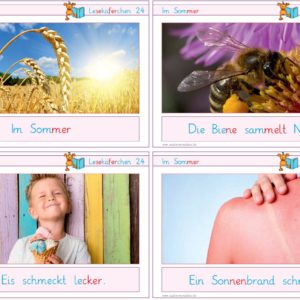 Lesekäferchen: Im Sommer