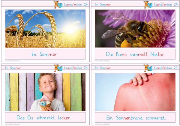 Lesekäferchen: Im Sommer