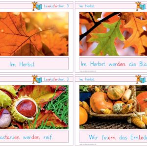 Lesekäferchen: Im Herbst