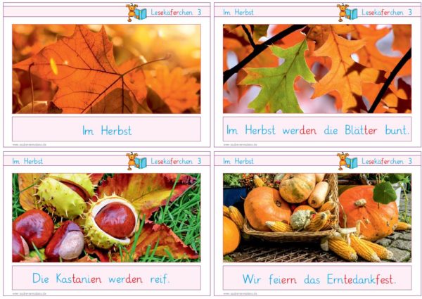 Lesekäferchen: Im Herbst