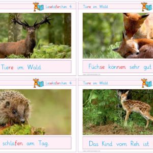 Lesekäferchen: Tiere im Wald