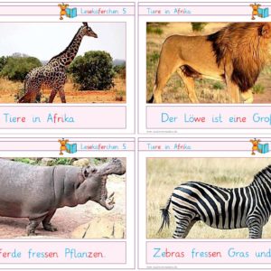 Lesekäferchen: Tiere in Afrika