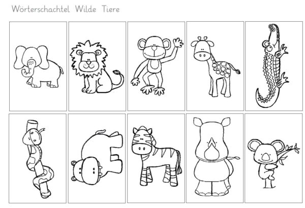 Wörterschachtel Wilde Tiere