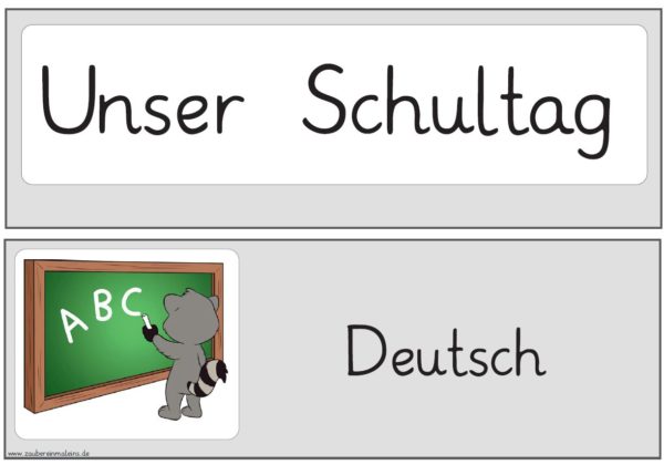 Tagestransparenzschilder Waschbär