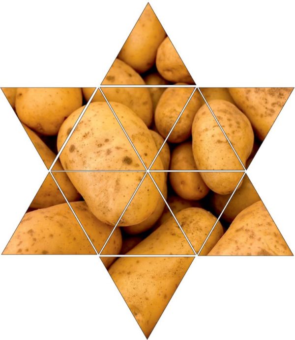 Fotolegestern Kartoffel