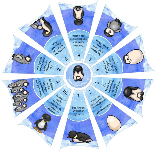 Legekreis Lebenszyklus Pinguin