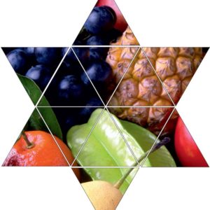 Fotolegestern Obst