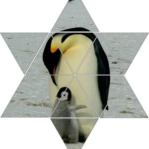 Fotolegestern Pinguin