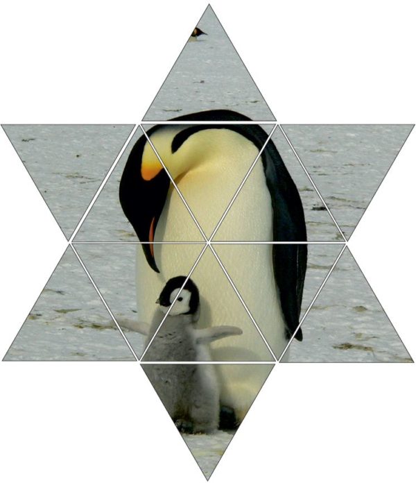 Fotolegestern Pinguin