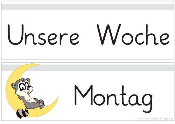 Wochentage Waschbären