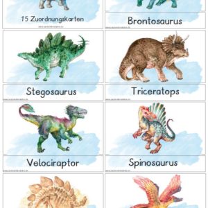 Zuordnungskarten Dinosaurier