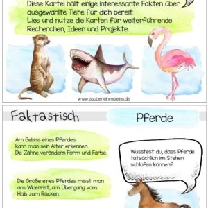 Faktastisch - die etwas andere Tier-Lese-Kartei