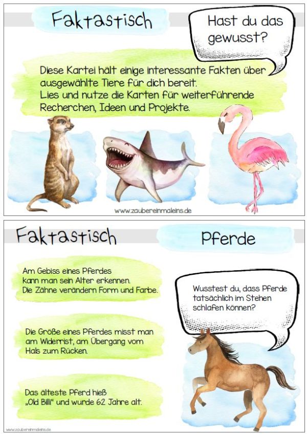 Faktastisch - die etwas andere Tier-Lese-Kartei