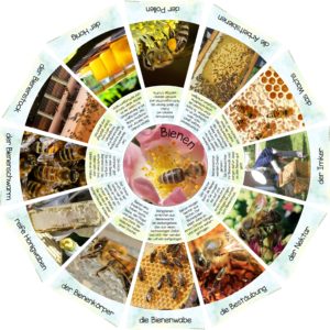 Fotolegekreis Bienen