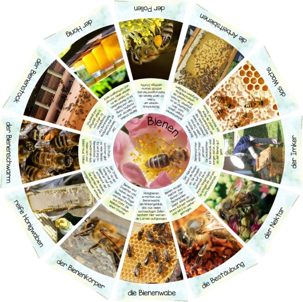 Fotolegekreis Bienen