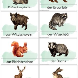 Zuordnungskarten Waldtiere