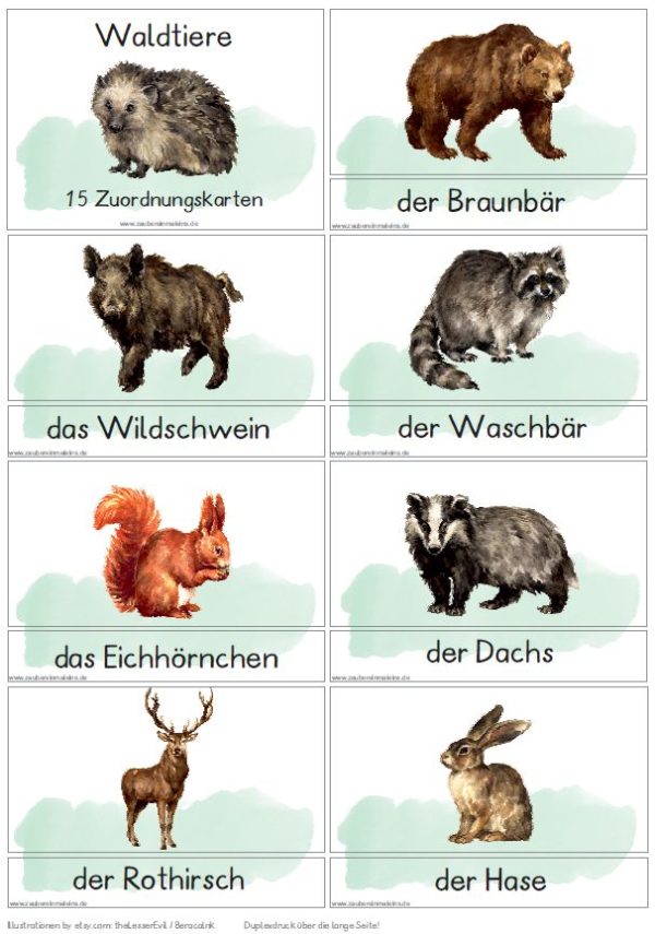 Zuordnungskarten Waldtiere