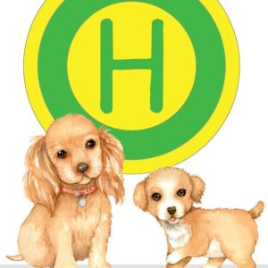 Haltestelle Hunde