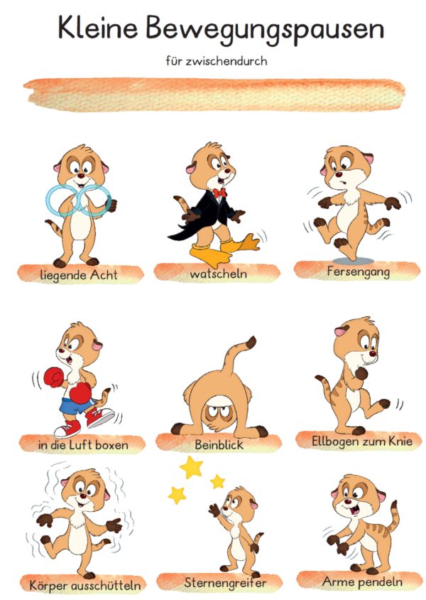 Bewegungsplakat kompakt Erdmännchen