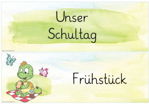 110 Tagestransparenzschilder Schildkröten