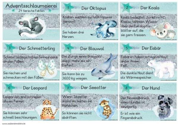 Adventsschlaumeierei - 24 tierische Fakten