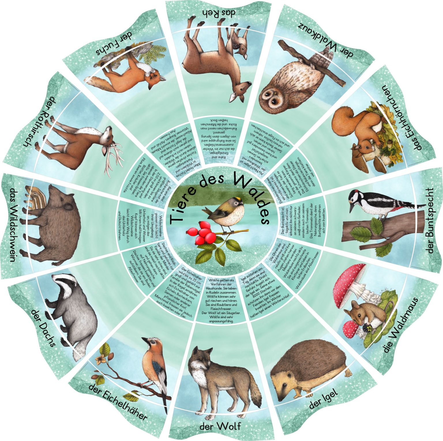 Legekreis Waldtiere – Zaubereinmaleins Shop