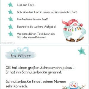 Im Winter - eine Lese-Abschreib-und-mehr-Kartei