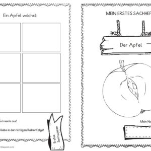 Mein erstes Sachheft: Der Apfel
