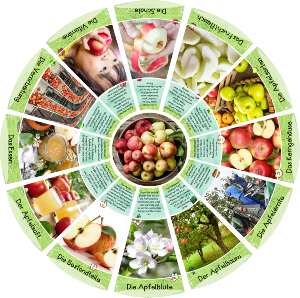 Fotolegekreis: Der Apfel