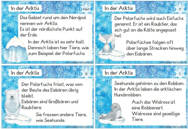 Leseweg: In der Arktis- 12 Stationen (auch interaktive Übungen)