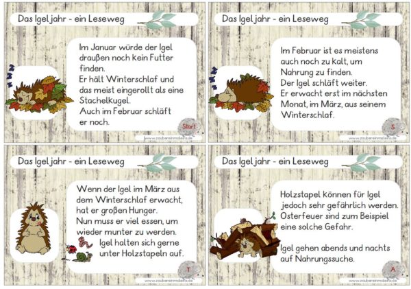 Leseweg: Das Igeljahr - 12 Stationen