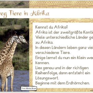 Leseweg: Tiere in Afrika