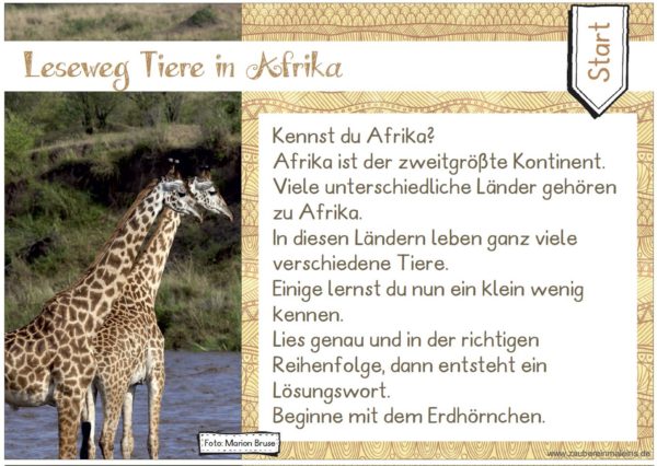 Leseweg: Tiere in Afrika