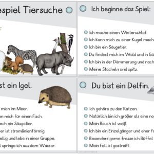 Lesespiel: Tiersuche (31 Karten)