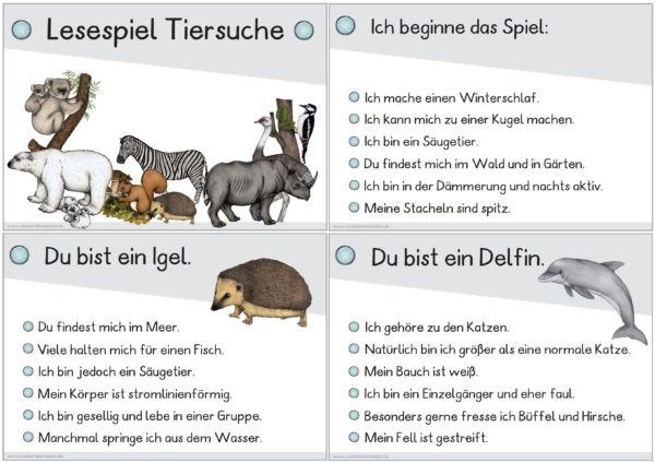 Lesespiel: Tiersuche (31 Karten)