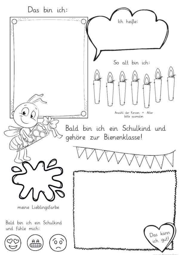 Mini-Steckbrief/erstes Bild - Biene
