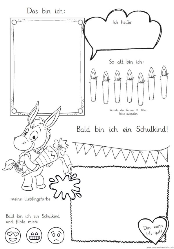 Mini-Steckbrief/erstes Bild - Esel