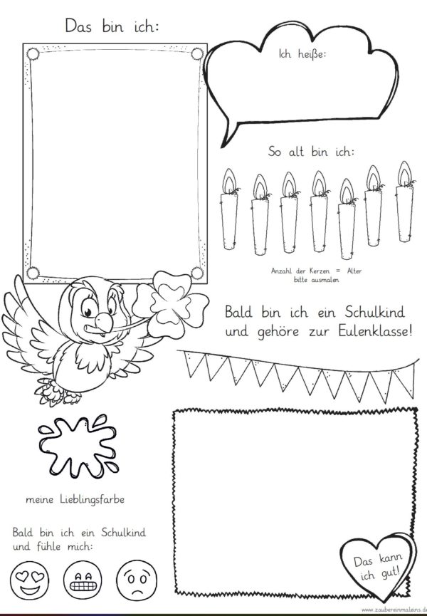 Mini-Steckbrief/erstes Bild - Eule