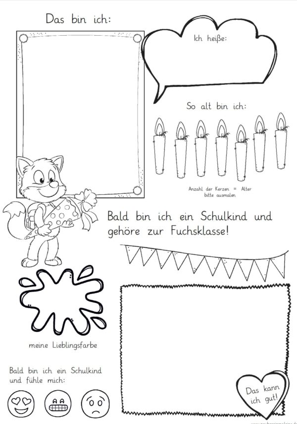 Mini-Steckbrief/erstes Bild - Fuchs