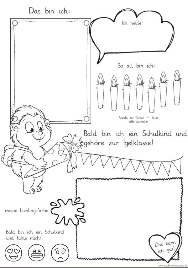 Mini-Steckbrief/erstes Bild - Igel
