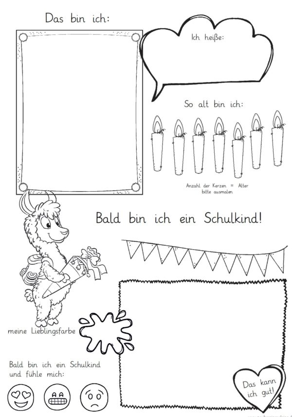 Mini-Steckbrief/erstes Bild - Lama