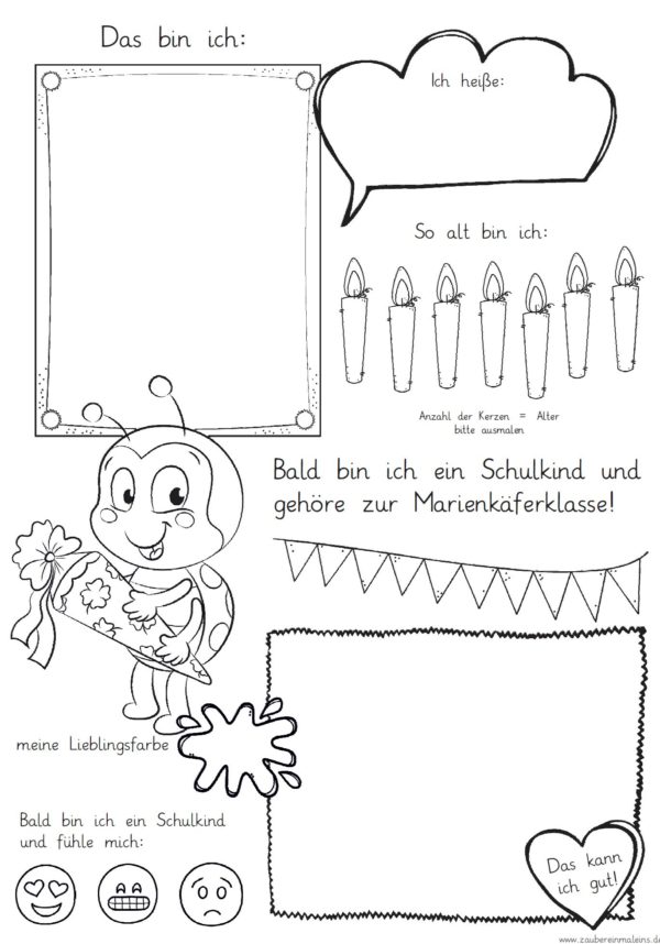 Mini-Steckbrief/erstes Bild - Marienkäfer