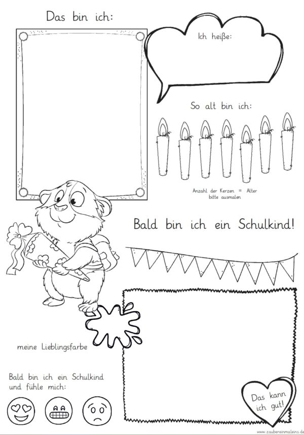 Mini-Steckbrief/erstes Bild - Meerschweinchen