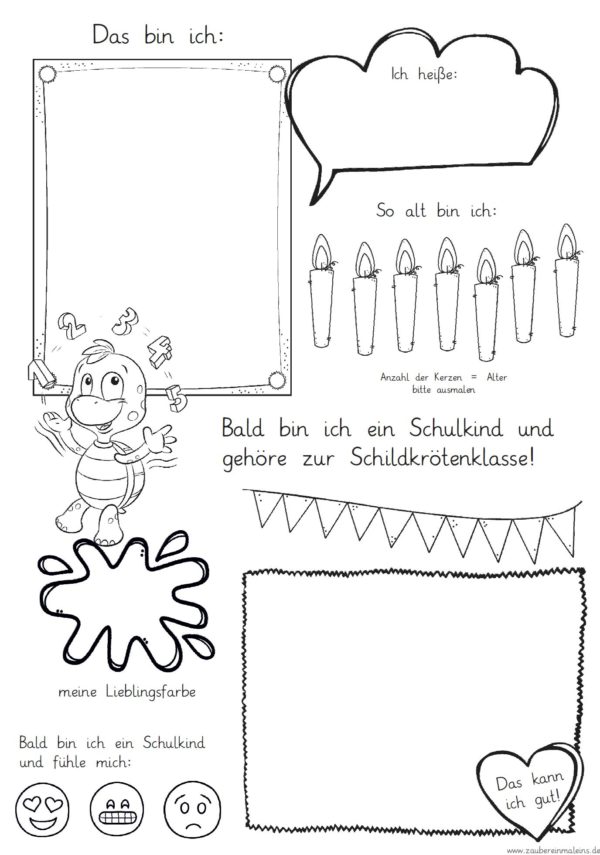 Mini-Steckbrief/erstes Bild - Schildkröte