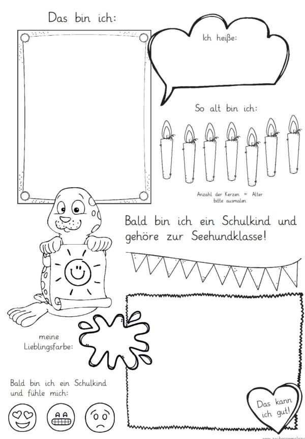 Mini-Steckbrief/erstes Bild - Seehund
