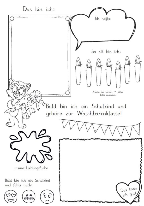 Mini-Steckbrief/erstes Bild - Waschbär