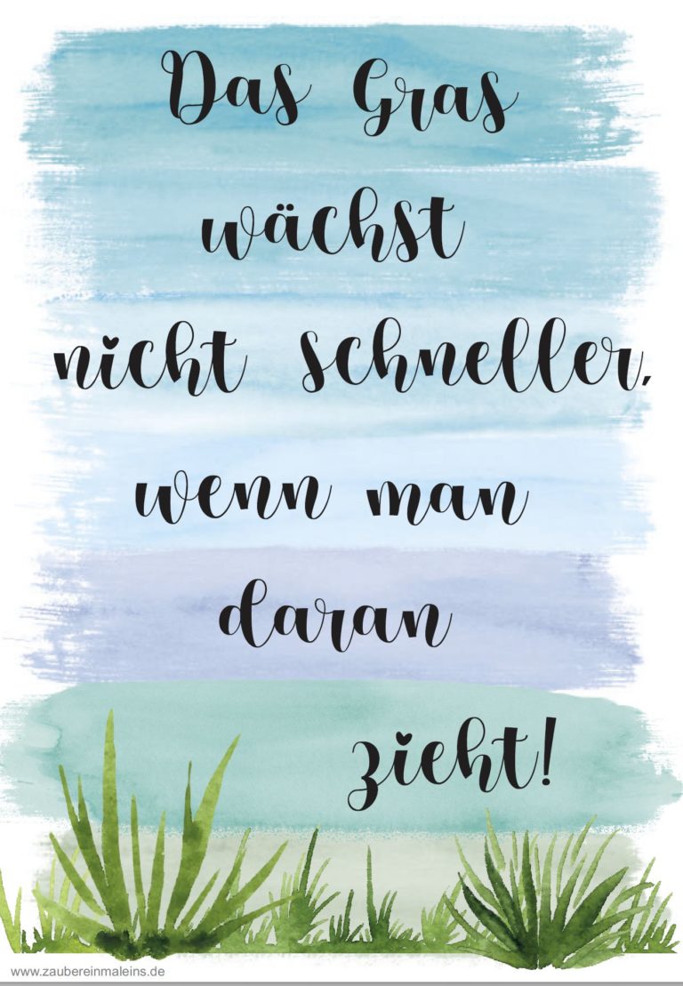 Gras Wächst Auch Nicht Schneller Wenn Man Daran Zieht Aushang: Das Gras wächst nicht schneller, wenn man daran zieht